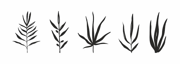 set of silhouettes of branches and leaves of plant elements