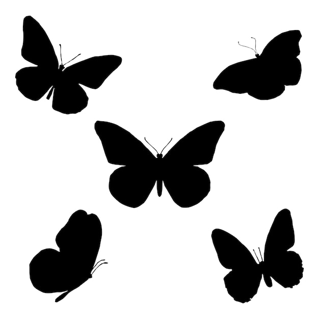 Set of silhouettes of butterflies vector illustration