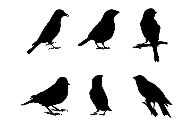 Set of silhouettes of canaries vector design