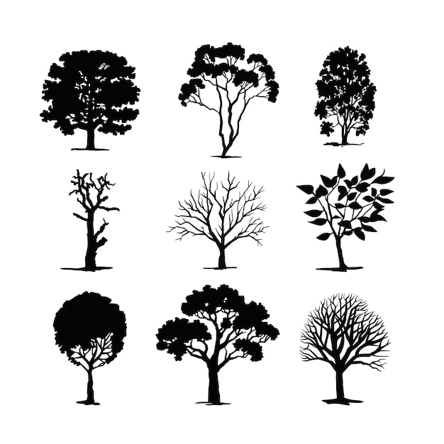 Set of Silhouettes of Deciduous Trees black illustration