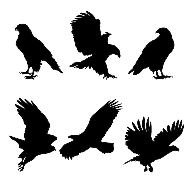 Vector set of silhouettes of eagles vector design