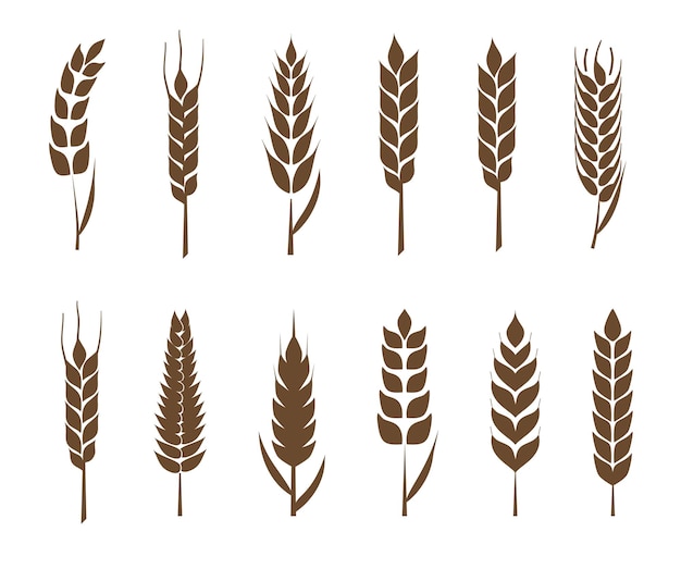 Vector set of silhouettes of ears of wheat