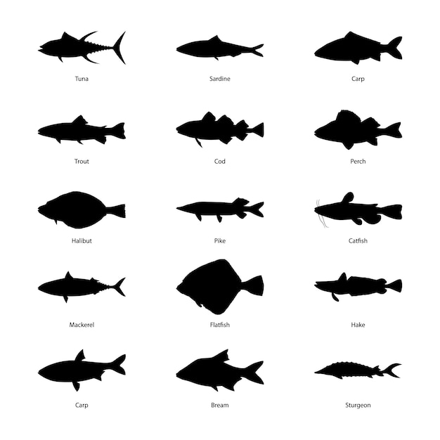 Set of silhouettes of fishes vector illustration