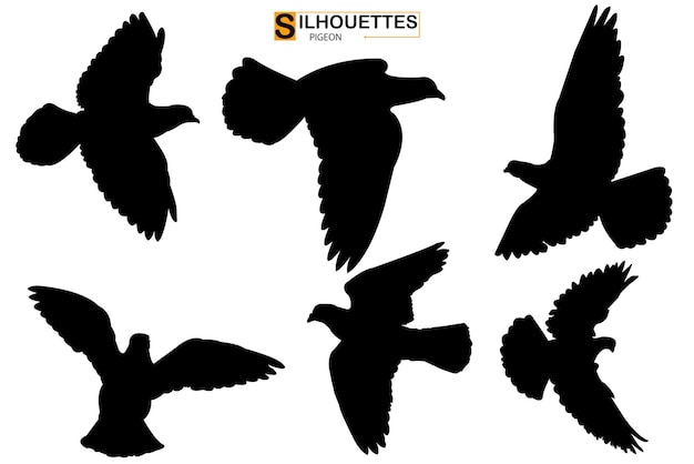 Vettore set di sagome di uccelli in volo sagome di piccione su sfondo trasparente