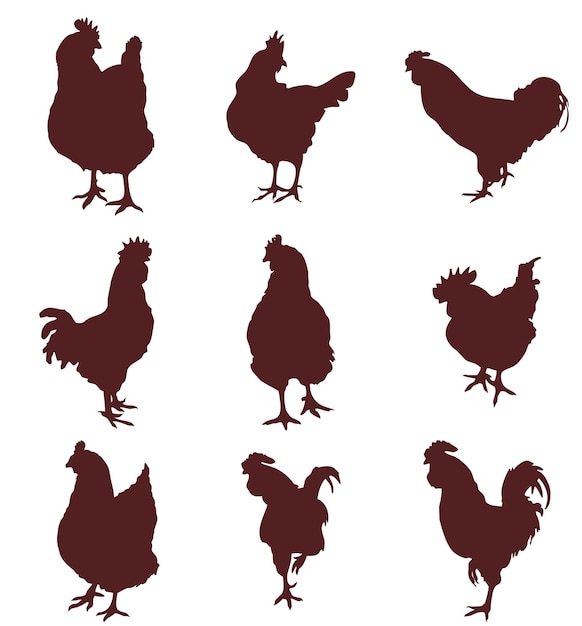 Set of silhouettes of a hen, a rooster and little chicks