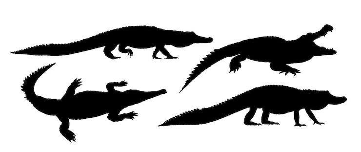 Vector set silhouettes of large crocodiles