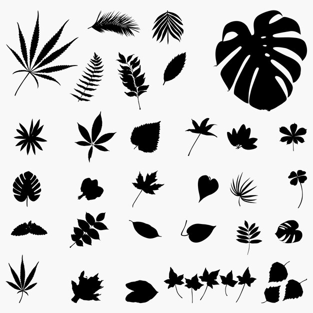 Set of silhouettes leaf vector template