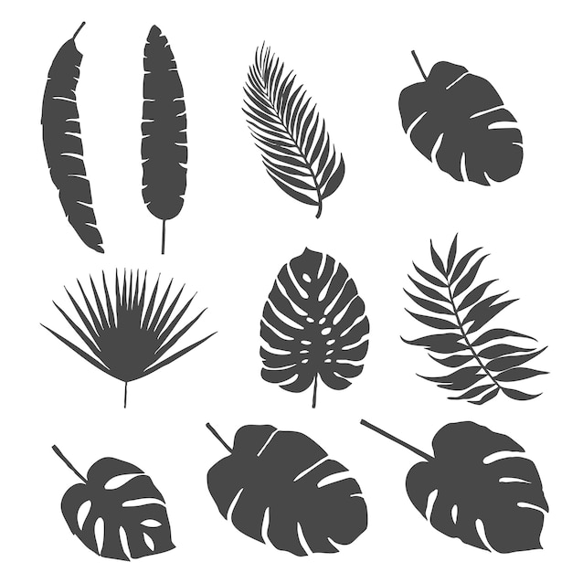 Vector set of silhouettes of palm leaves and other leaves of exotic trees