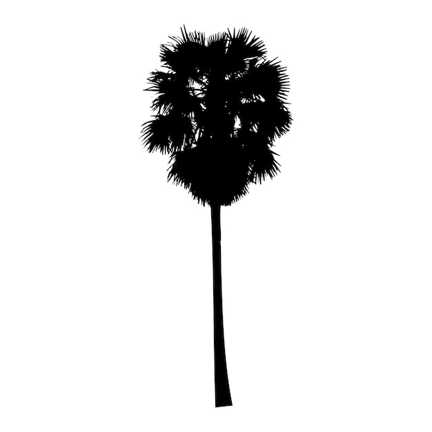 Vector set of silhouettes of palm trees on a white background vector illustration