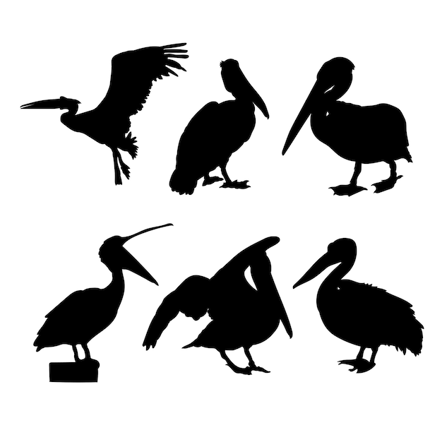 set of silhouettes of pelican vector design