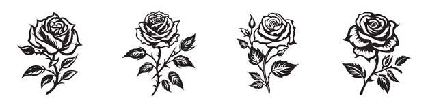 Set of silhouettes rose with leaves Isolated flower silhouette