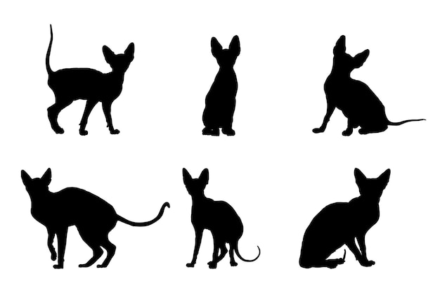 Set of silhouettes of sphynx cats vector design