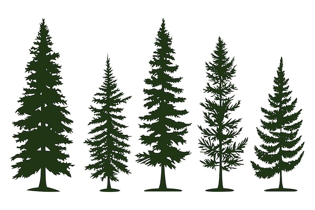 Vector set of silhouettes of spruce trees vector illustration