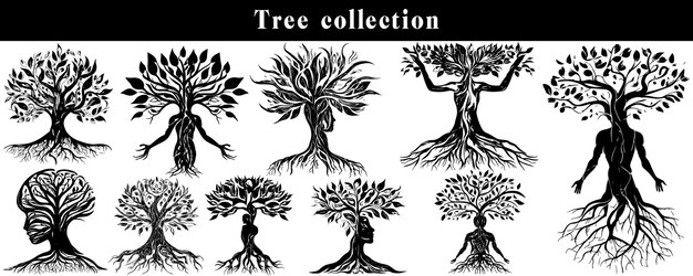 set of silhouettes of trees black and white tree vector set tree silhouette set on whi