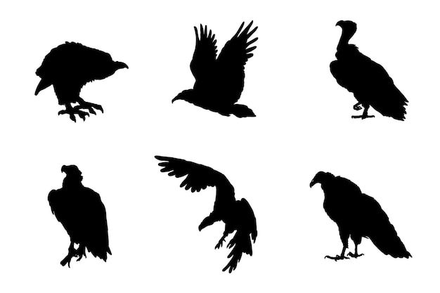 Vector set of silhouettes of vultures vector design