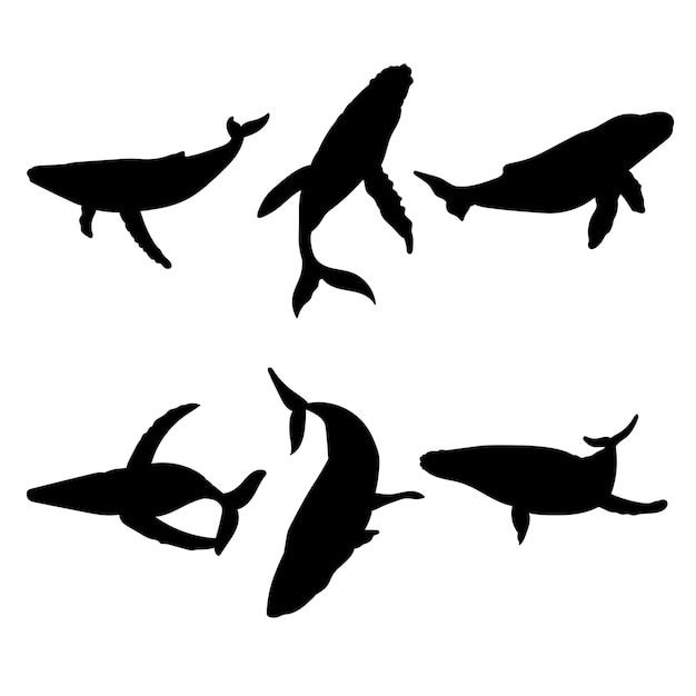 Set of silhouettes of whales vector design