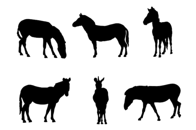 Vector set of silhouettes of zebra vector design