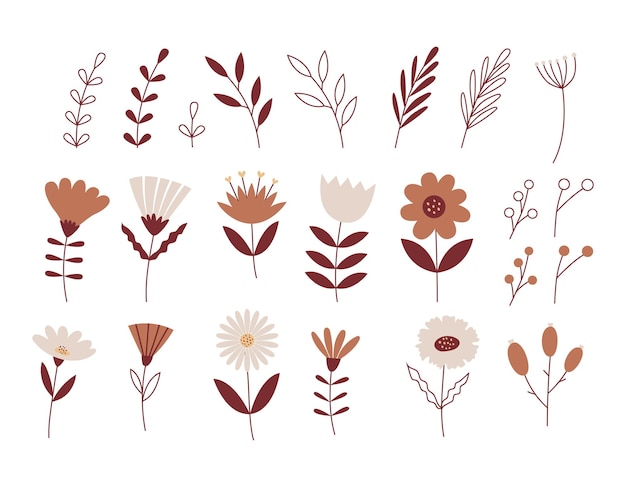 A set of simple flowers twigs leaves neutral beige colors botanical vector illustrations isolated on a white background