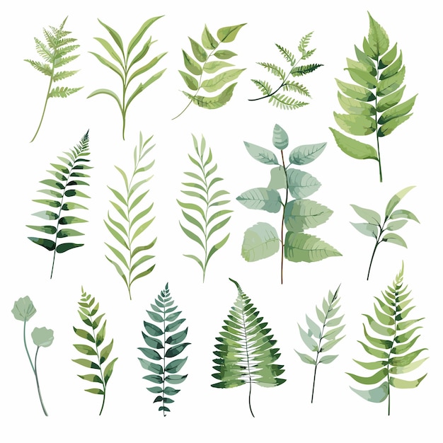 Set simple leaf watercolor for decoration