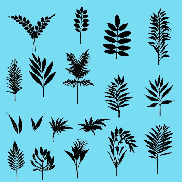 Set of simple silhouette of exotic leaf