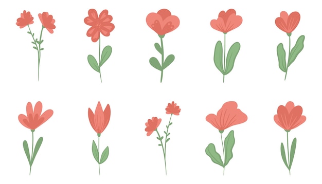 Set of simple vector flowers vector flat floral illustration