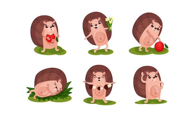 Set of six funny hedgehogs in different actions and poses Eating apple sleeping collecting the mushrooms and flowers Vector illustration cartoon character isolated on white background