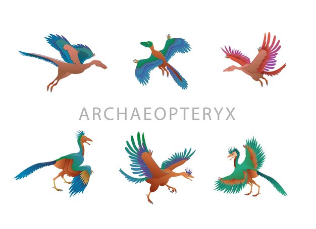 Vector set of six prehistoric jurassic reptile flying archaeopteryx with wings and crest color vector illus