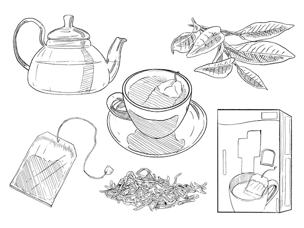 Vector set of sketch and hand drawn element tea collection set