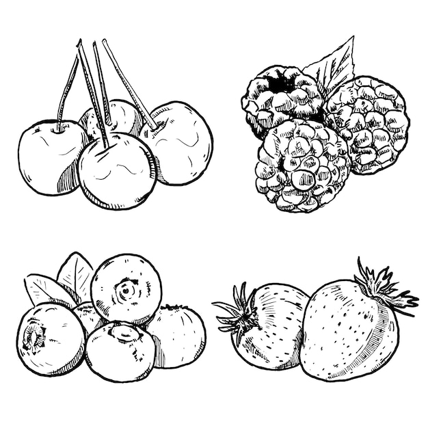 Набор эскизов и рисованной фруктовой вишни, малины, черники и клубники