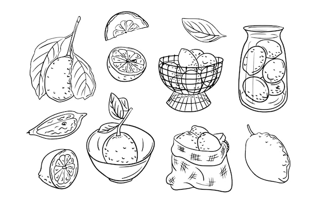 Vector set of sketchy contour drawings of fruits