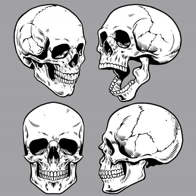 Set of skull in hand drawing style