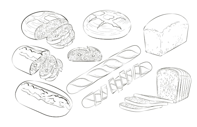 Set of sliced bread The cut loaf of toast bread for sandwich Logo icon Vector sketch realistic line vintage illustration