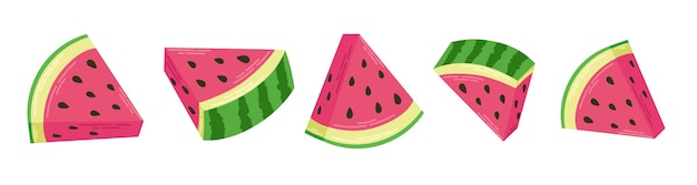 Vector set of slices colorful juicy watermelon isolated elements on white background