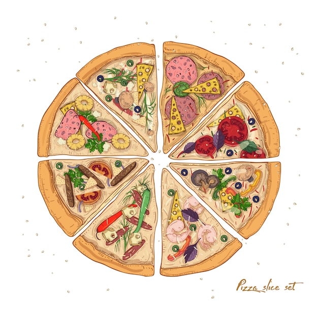 Vector set of slices of different pizza types with various ingredients isolated