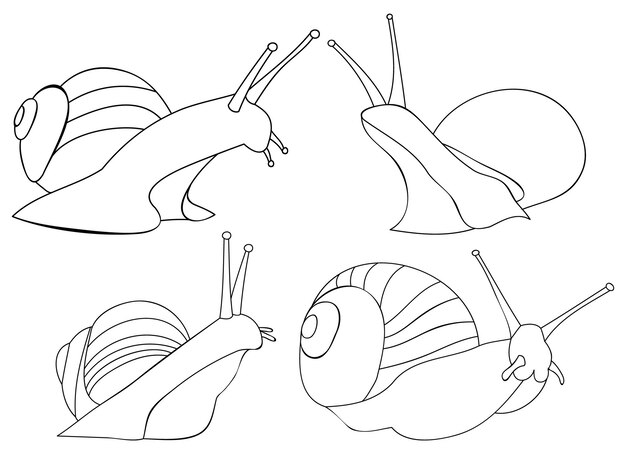 Vector set of snail sketch lines