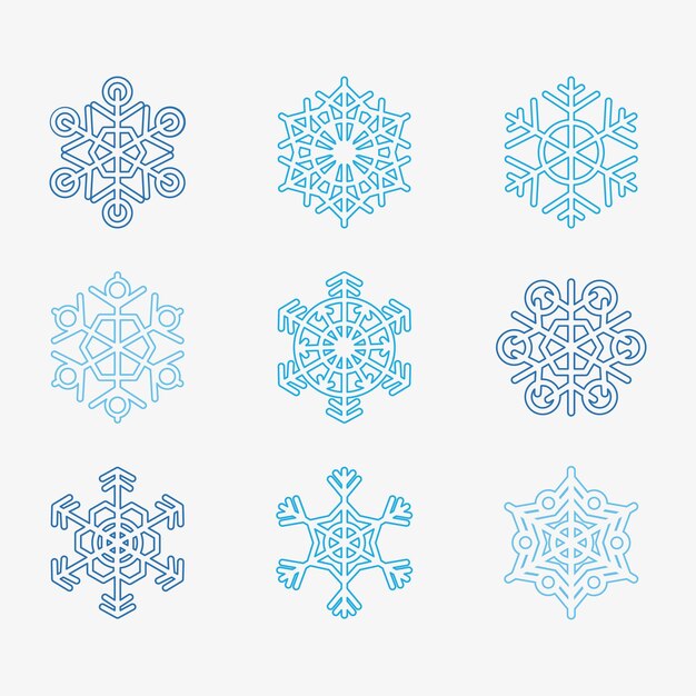 Vector a set of snowflakes and snowflakes