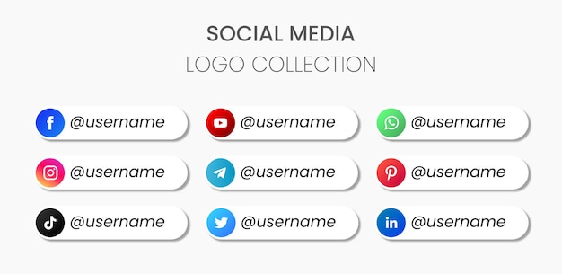 Set of social media logo collection facebook instagram twitter pinterest snapchat