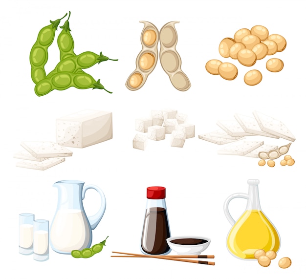 Set of soy products milk and oil in glass jug soy sauce in transparent bottle tofu and beans organic vegetarian food  illustration  on white background web site page and mobile app