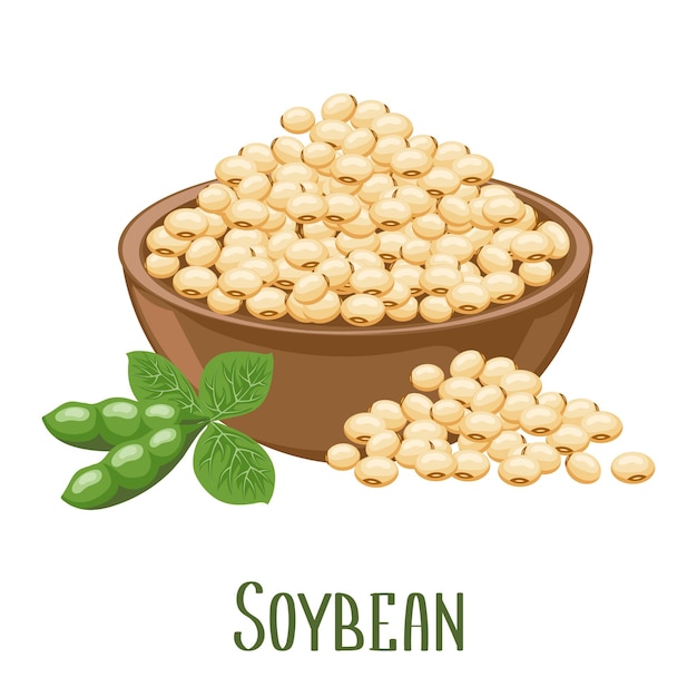 Vector set of soybeans soybean plant soybeans in pods in a bowl food agriculture illustration vector