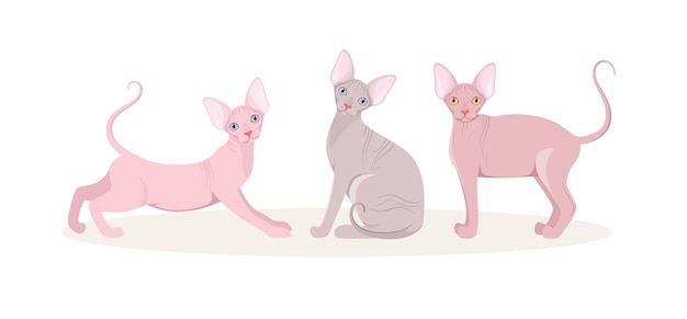 A set of sphinx cats on a white background. Cartoon design.


