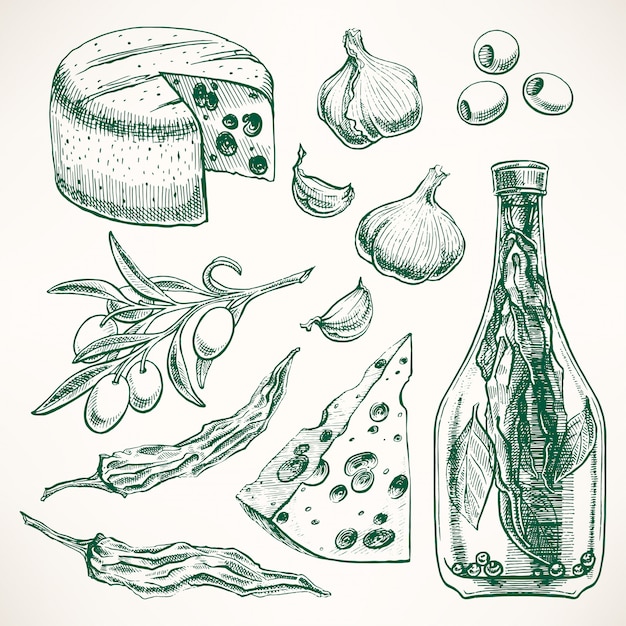 Set of spices, cheeses and vegetables. garlic, olives, chili pepper. hand-drawn illustration