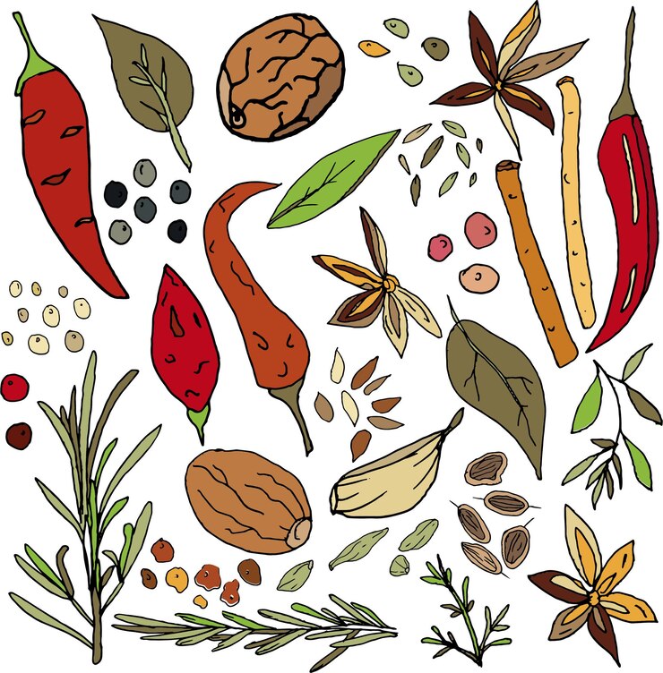 Set of spicesChilli peppers black and pink peas bay leaves basil nutmeg thyme rosemary