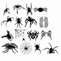 Vector set of spider black vector