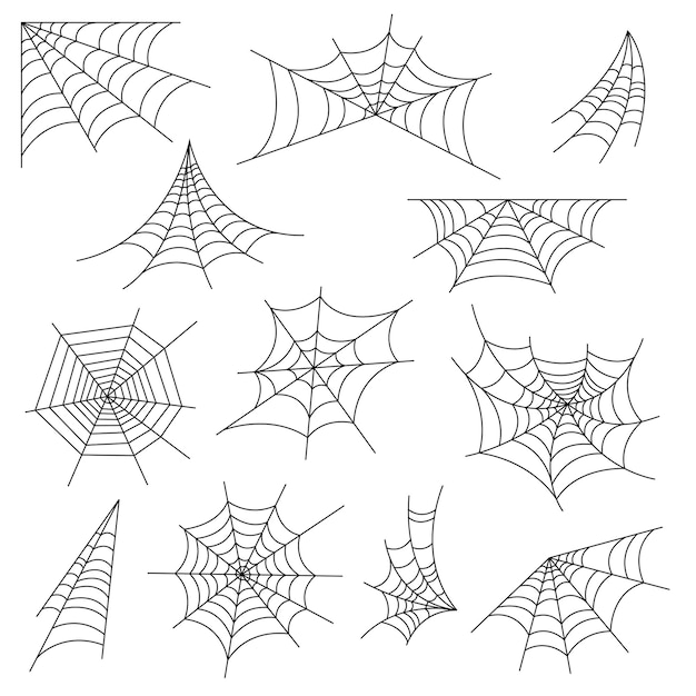 Set of spider web and halloween cobweb decoration