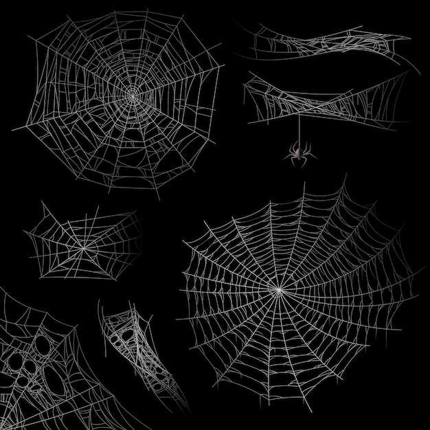 Set of spider web