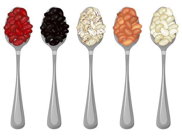 Vector set of spoons with beans on white background,  illustration. cartoon.