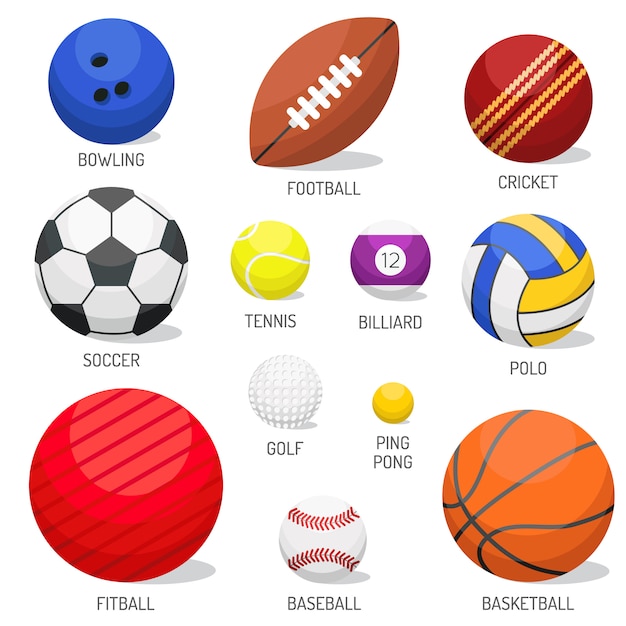 Vector set of sport balls isolated vector.