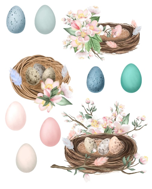 Набор весенних птичьих гнезд и яиц с цветами яблони, пасхальные композиции
