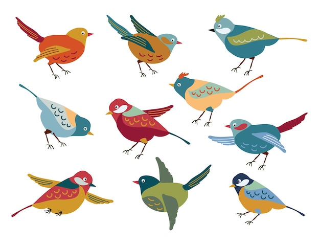 Vector set of spring birds. vector. various birds. the images are isolated on a white background