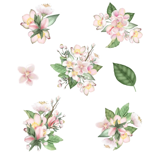 Vector set of spring blooming apple tree flower bouquets